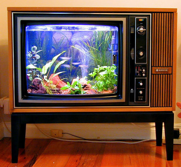 Akvarium av en gammal tv
